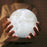 3D Lunar Moon Lamp