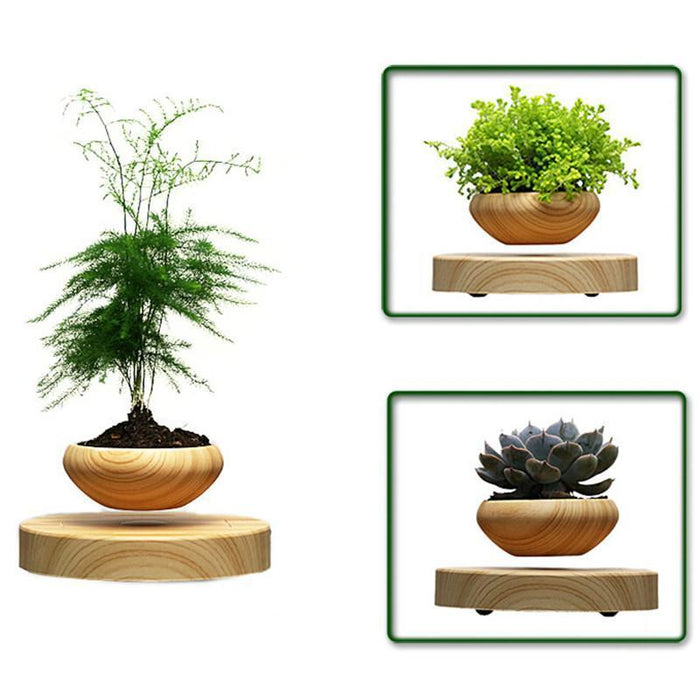 Magnetic Levitation Bonsai Plant